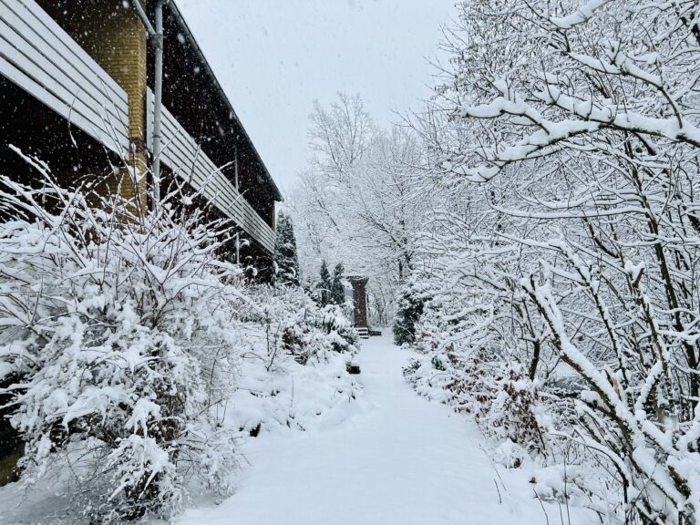 Garten_Schnee