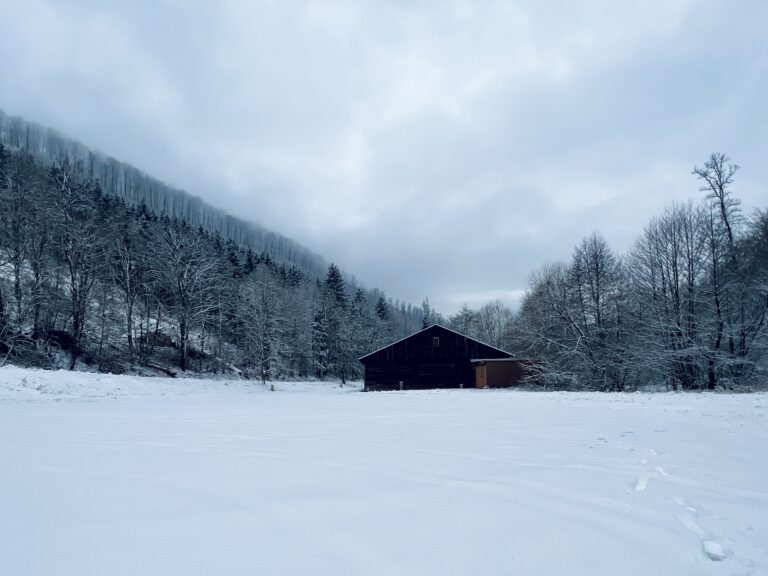 Zorger Kunzental im Schnee