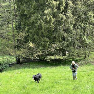 Im Hundeurlaub im Harz wird ordentlich getobt.