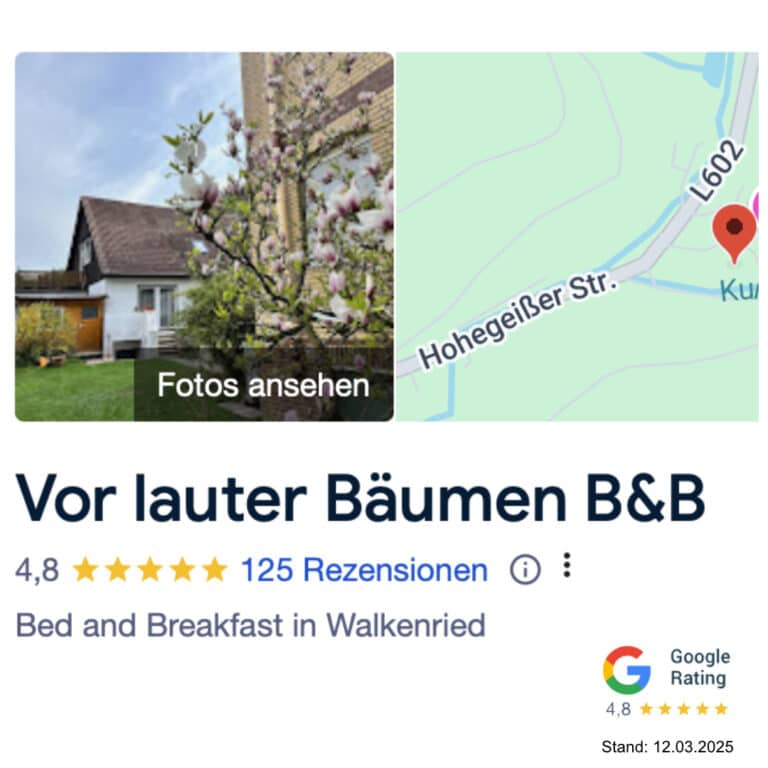 Google_Bewertungen_2025